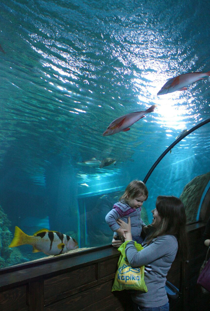 Евгения Зеленина | Тольятти