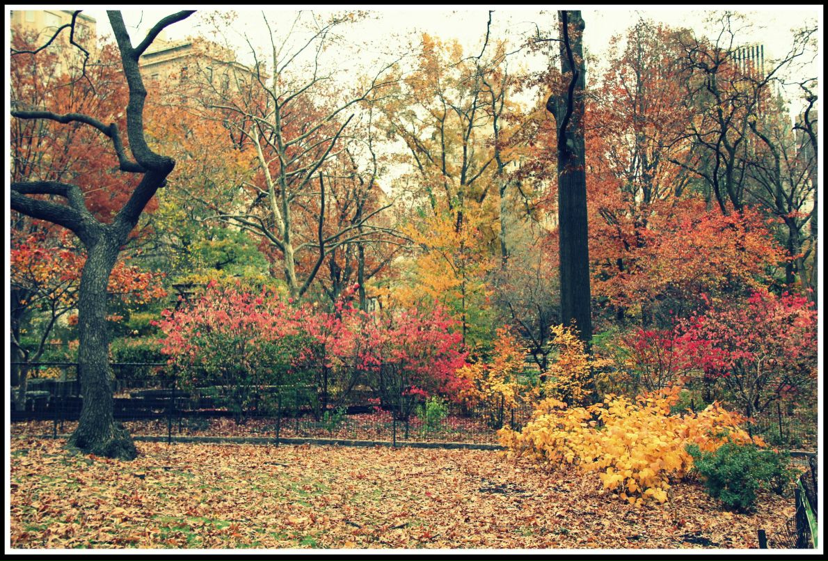 Маша Вахранева | Miami