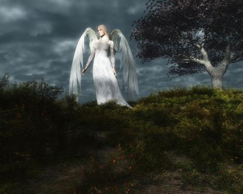 №19, Олексій Штинда №19, Олексій Штинда