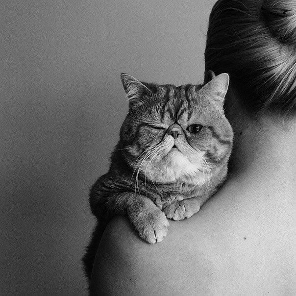 Света Кужелева | Харьков