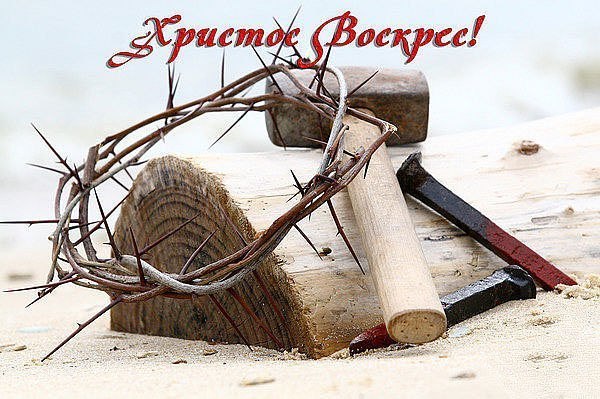 Алёна Сапилова | Тольятти