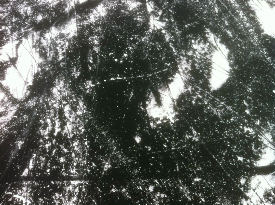 Nefedov Татьяна | 