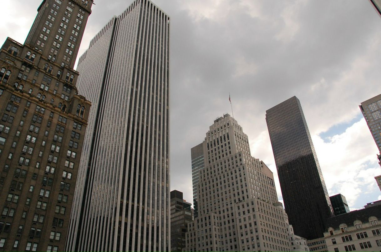 Алеся Гнидая | Запорожье