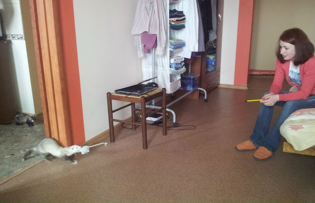 Аркадий Гольдштейн | Новосибирск