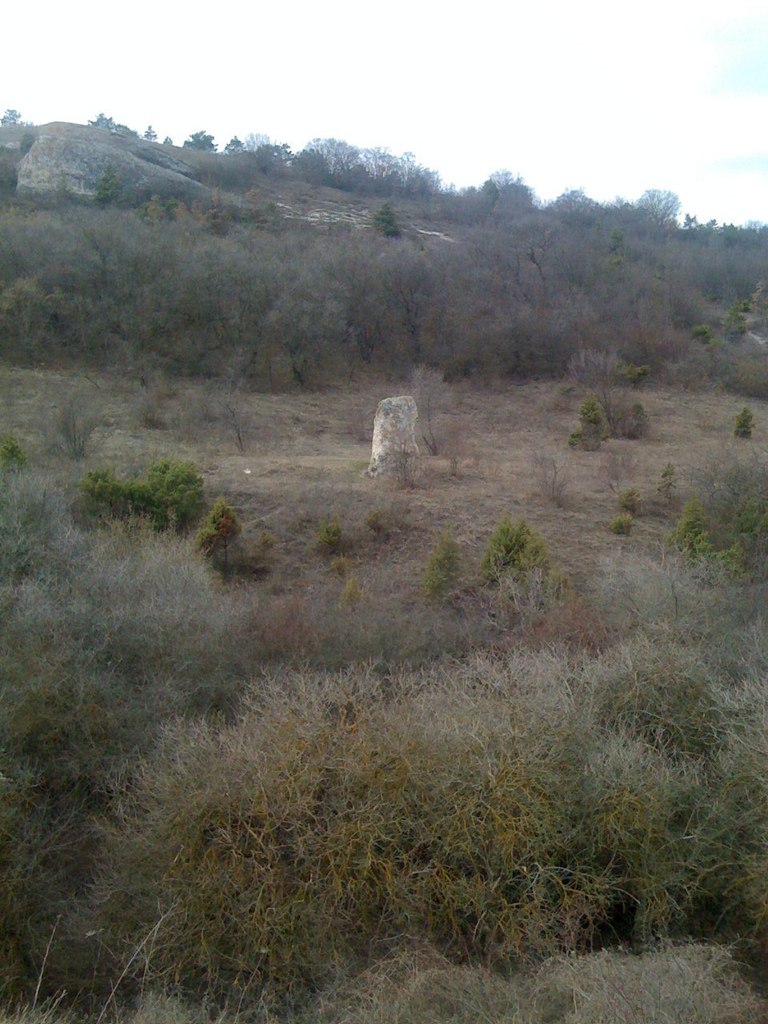 Ольга Чупахина | Воронеж