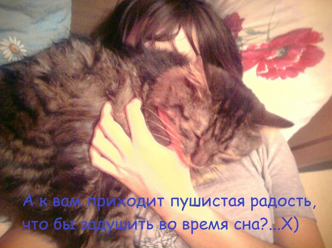 Vira Mykhailyk | Киев