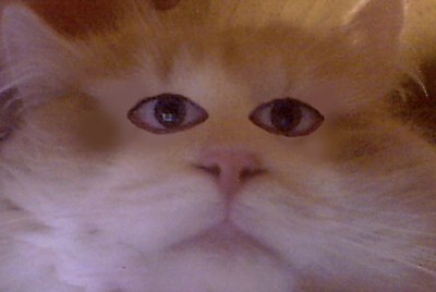 Игорь Городкин | Киев