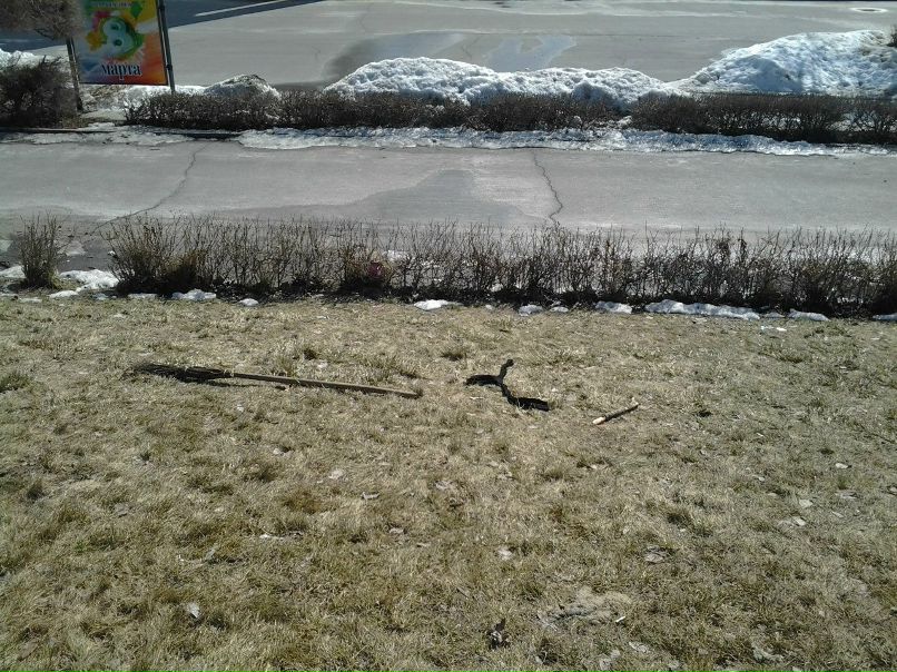 Виктор Горностаев | Карданга