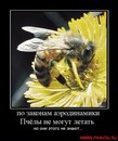 Фотография Шалыгина Дениса