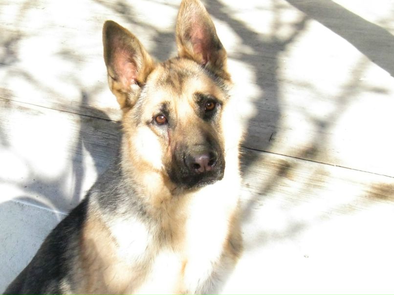 Азамат Рахимов | Москва