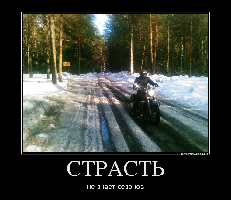 Александр Мешаев [Born`To`Be`Wild] | Санкт-Петербург