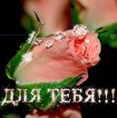 Фотография Оля Каленская