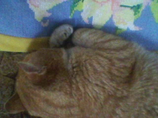 Елена Минченок | Себеж