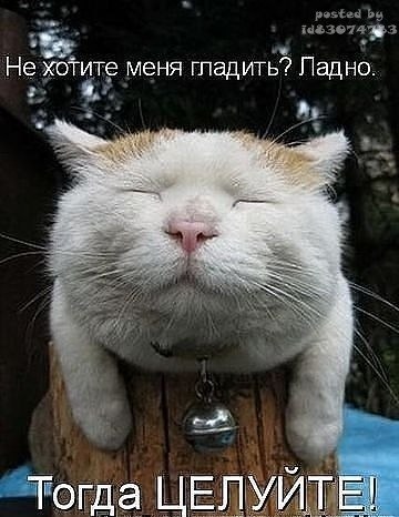 Оля Корниенко Lily | 