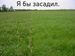 Иван Парадеев фотография #26