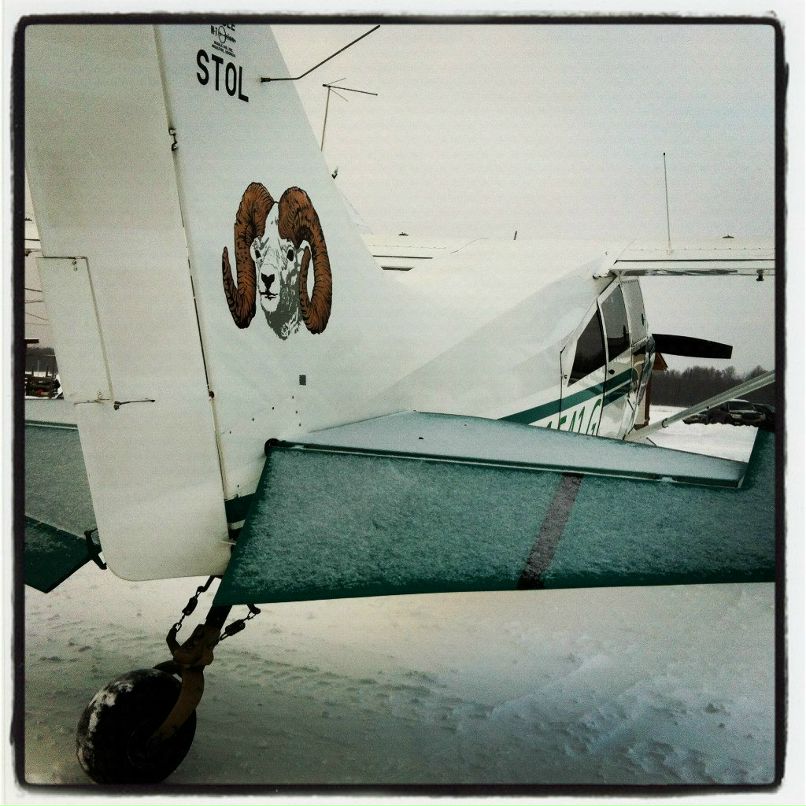 Юлия Мальцева | Санкт-Петербург