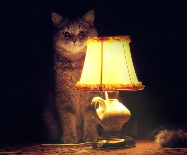 Дмитрий Колыгин | Тюмень