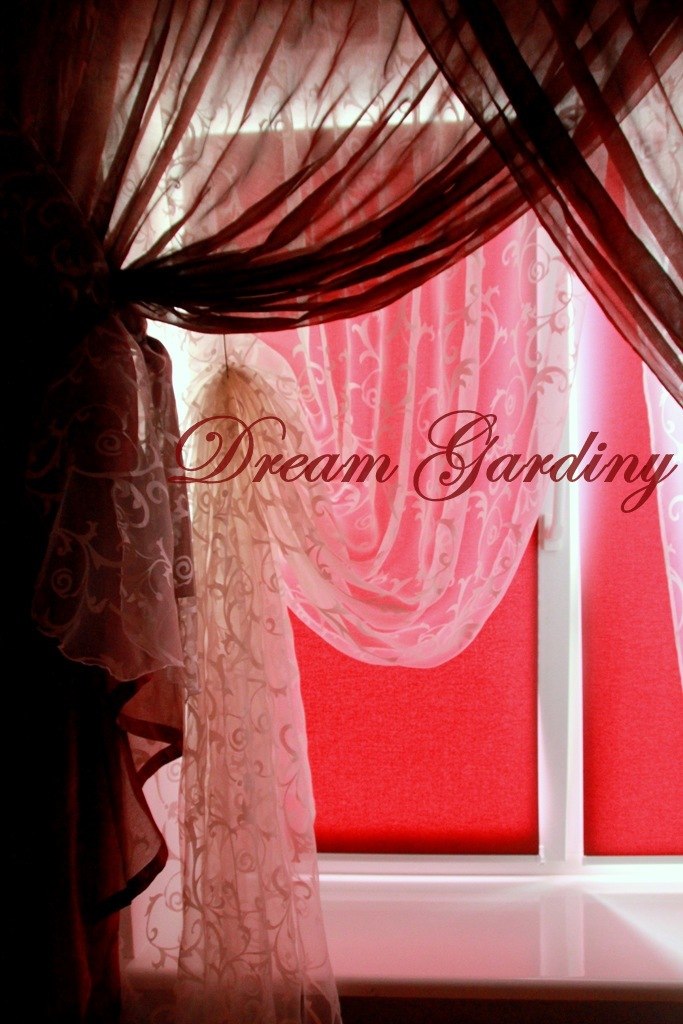 Александра Александрова | Киев