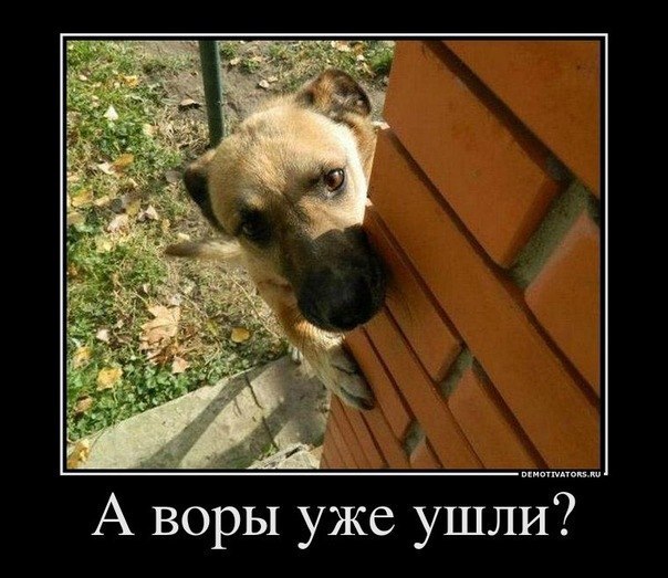 Дмитрий Приходько | 