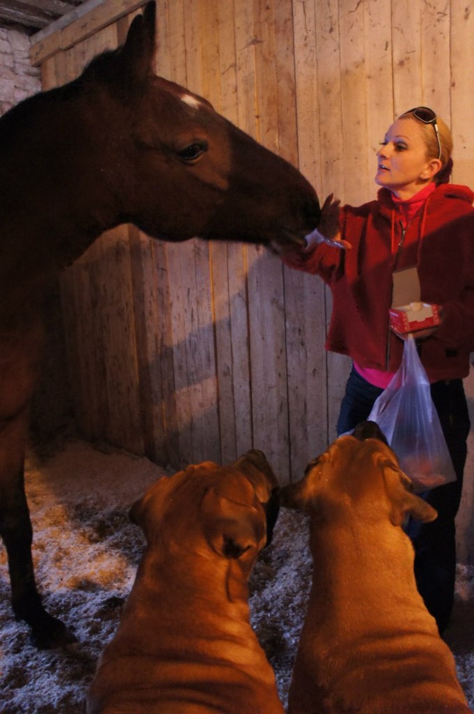 Карина Красавина | Санкт-Петербург