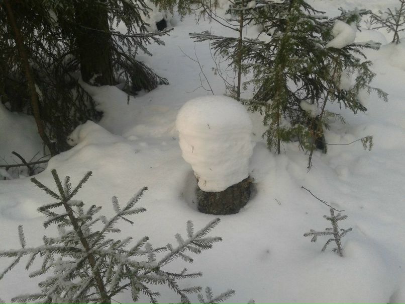 Анюта Лучинина | Киров (хутор)