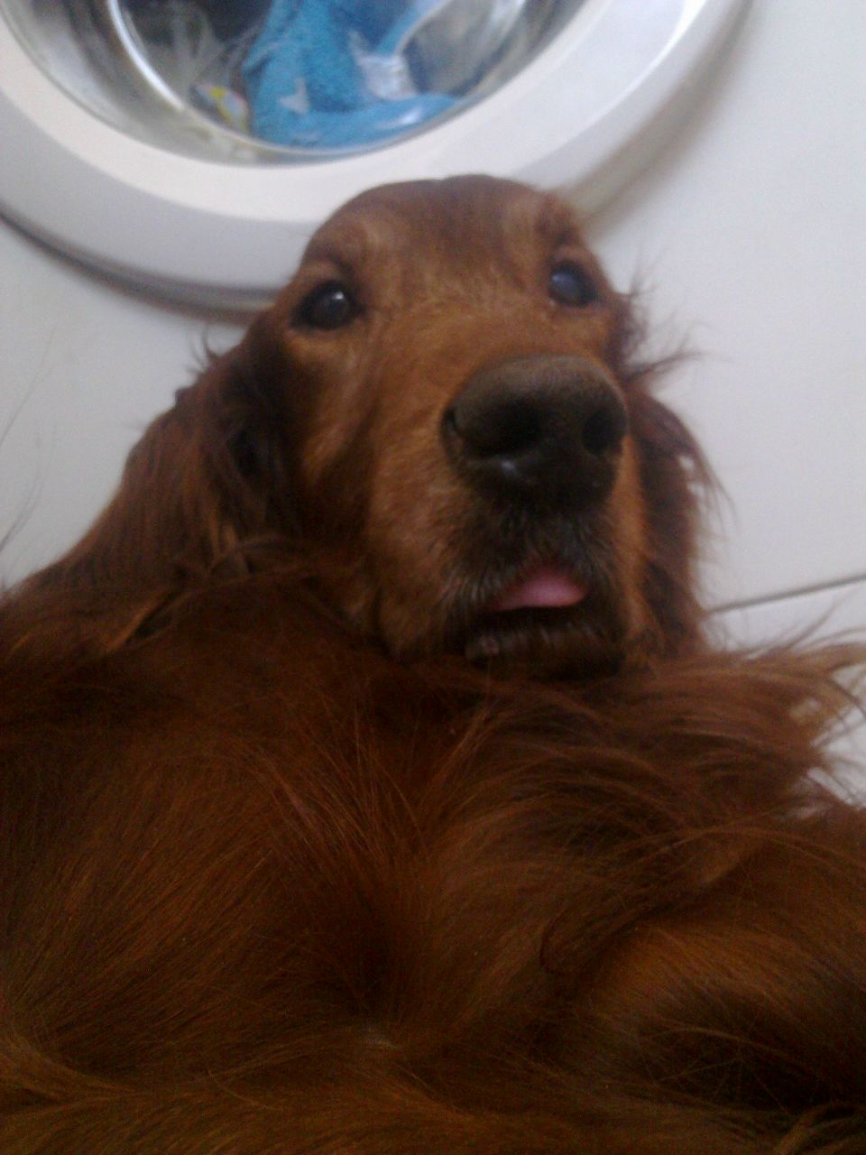 Лелька Яковлева | Москва