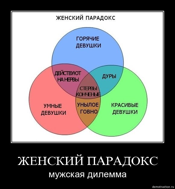 Андрей Данькевич | Киев