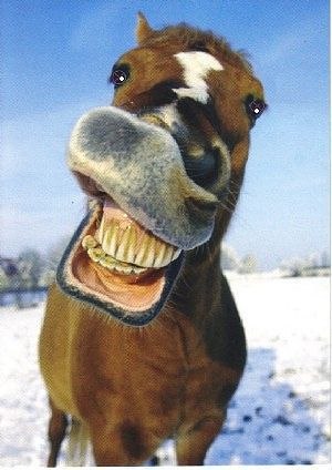 Валерий Фирсов | Ростов-на-Дону