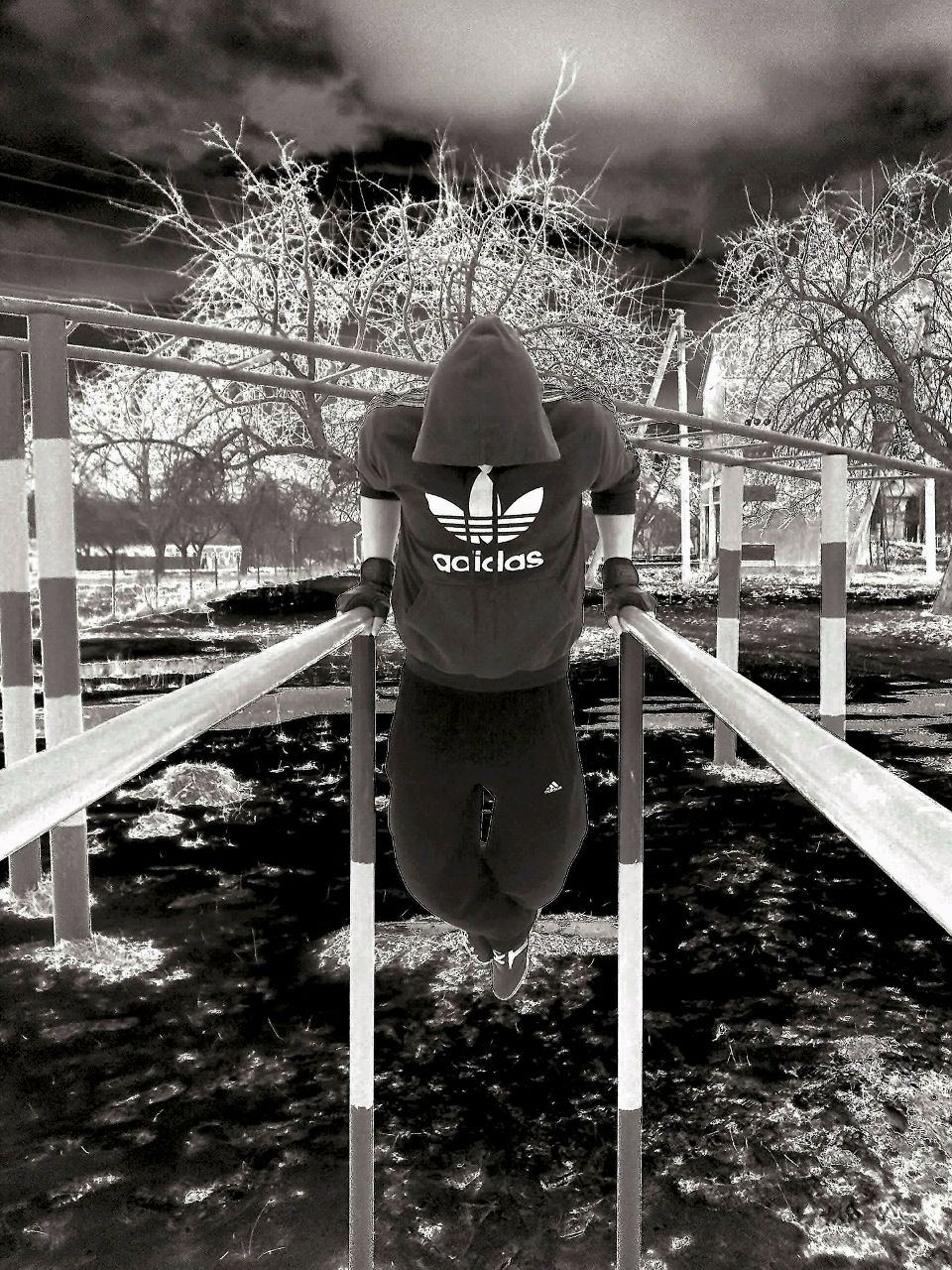 Коля Сліпенчук | Кобаки