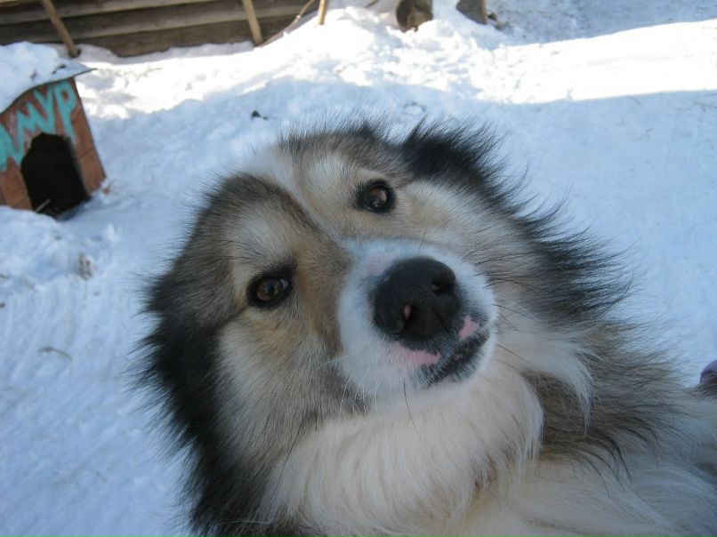 Виктор Балдин Анатольевич | Сонково