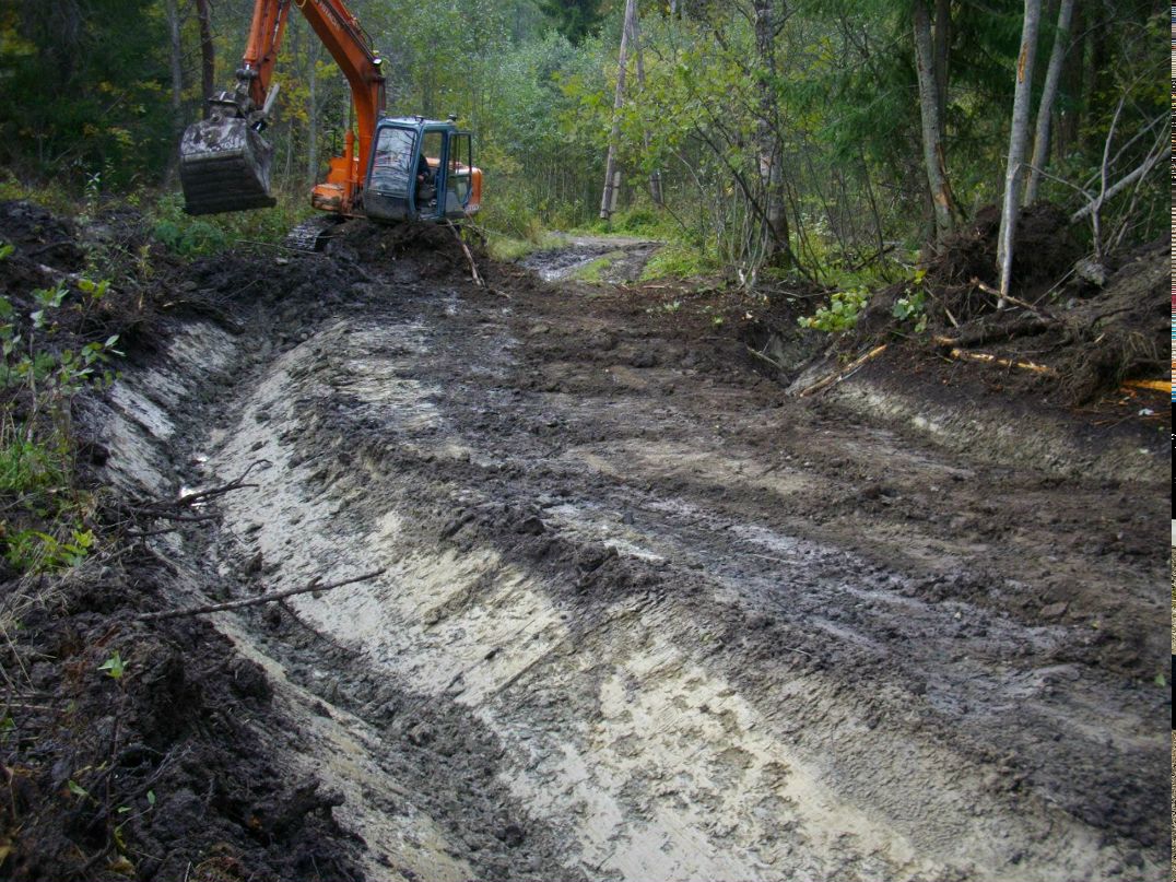Сергей Петров | Санкт-Петербург