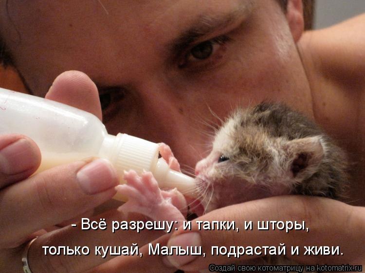 Сергей Макаревич | Воронеж