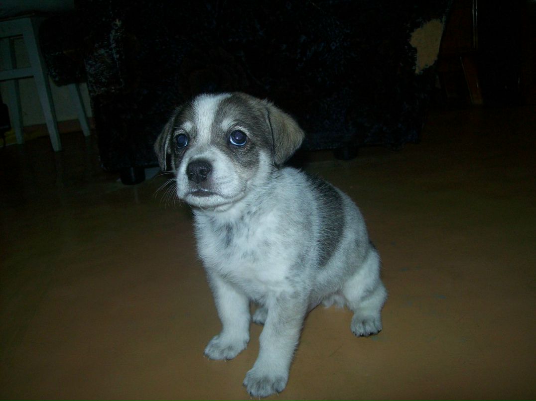 Галина Пархоменко { Lux in Tenebris } | Омск