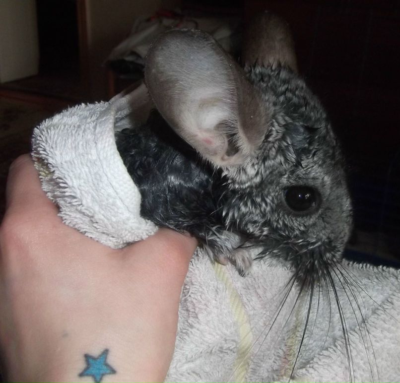 Нелли Сол @@@@@@ | Новороссийск