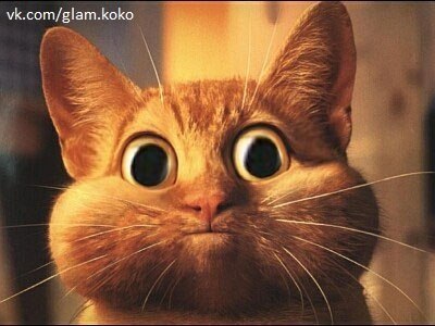 Юлия Громова | Киев