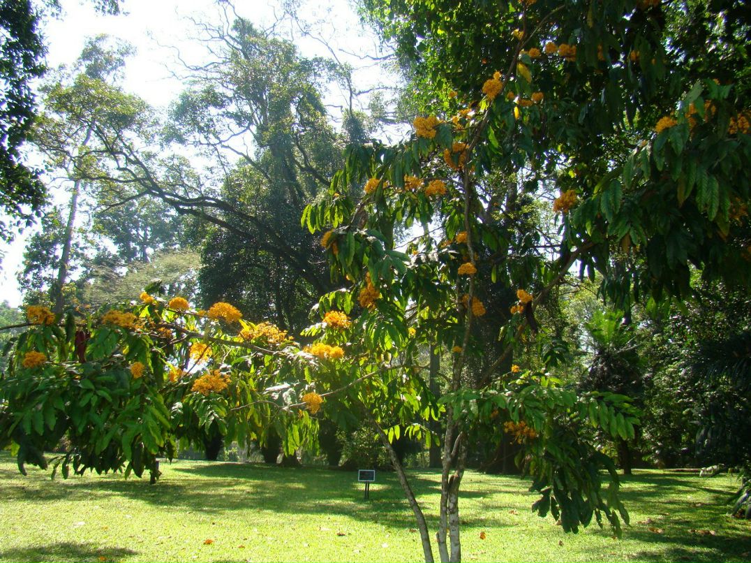 Олег Ройко | Харьков