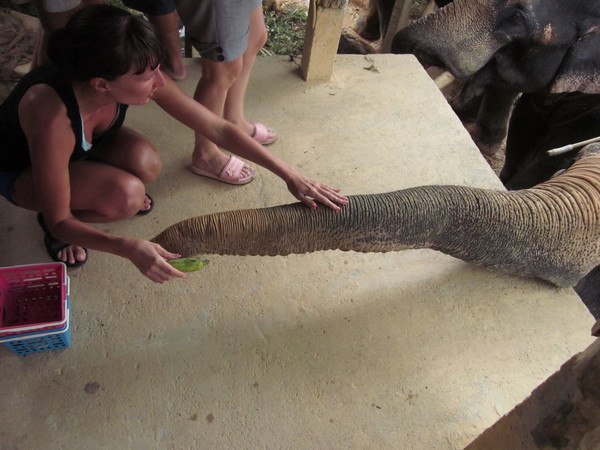 Наталья Никитина | Зеленогорск