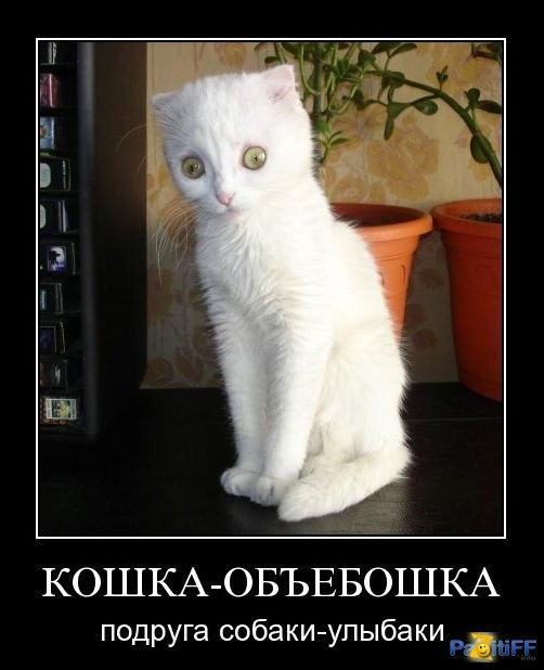 Юля Колисниченко | Южное