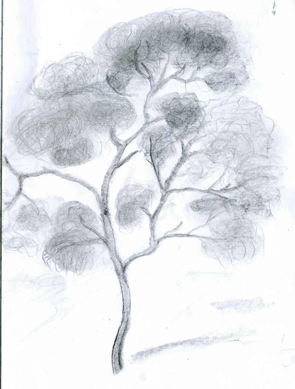 Анжелика Привалова Евгеньевна | Благовещенск