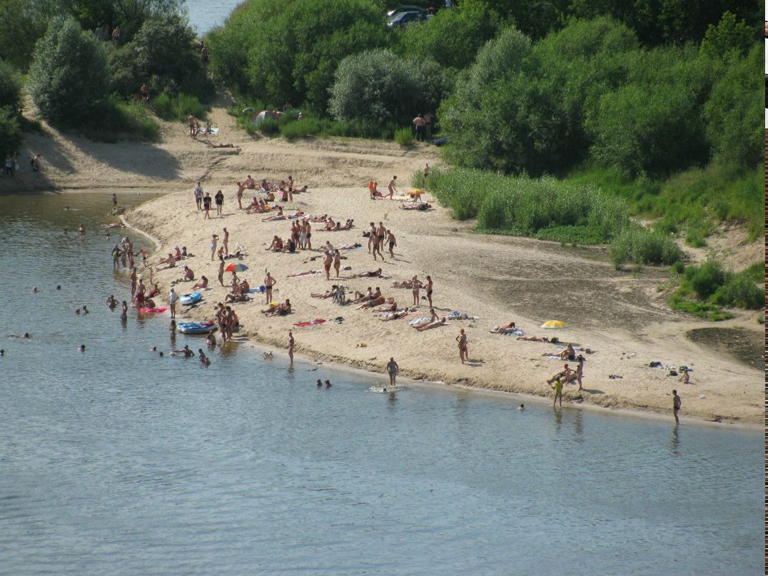 Никита Курочкин | Владимир