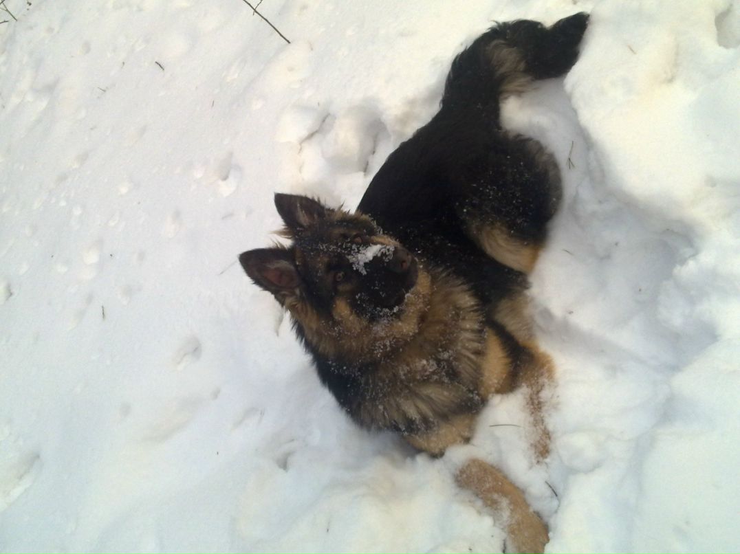 Ирина Шкуропацкая | Киев