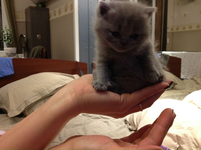 Irina Ivaylovskaya | Санкт-Петербург