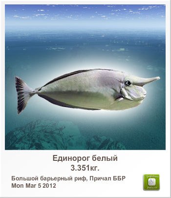 Ангелина Цыкунова | Минск