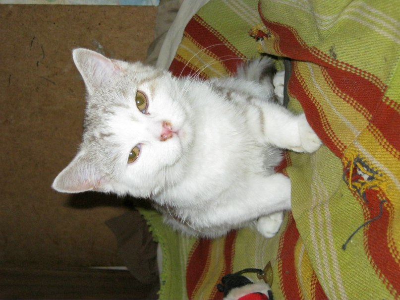 Юлия Павлова | Ярославль