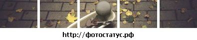 Фотография Юлия Сердюк