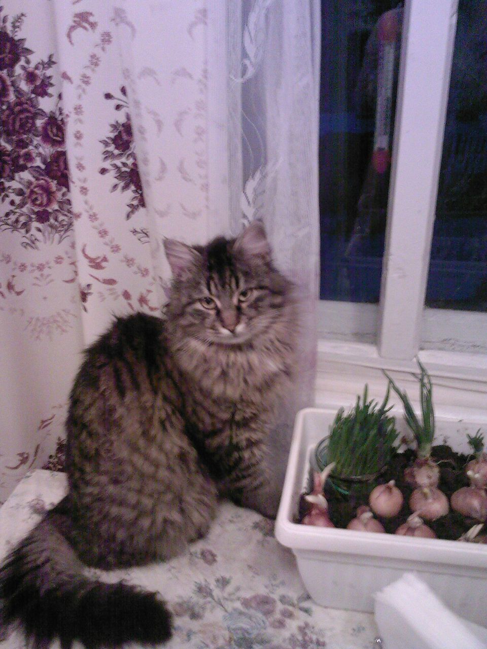 Алёна Биличенко | Харьков