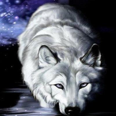 Александр Красавин | Казань