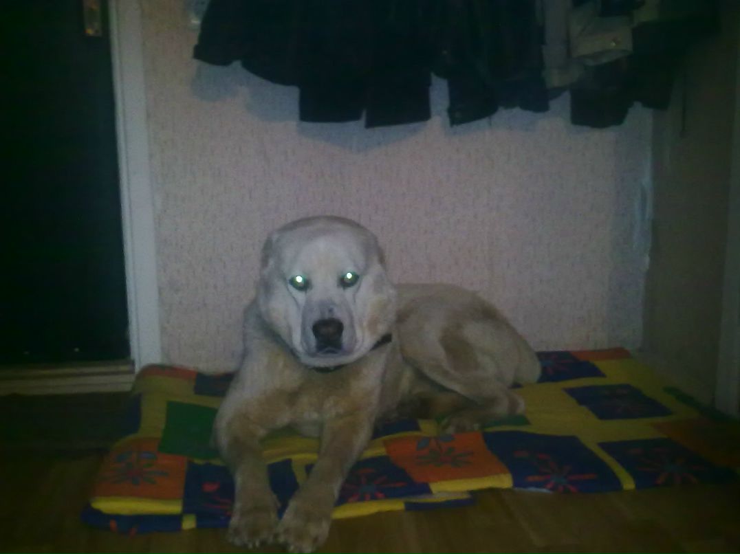 Сергей Матиевский KoT | Москва