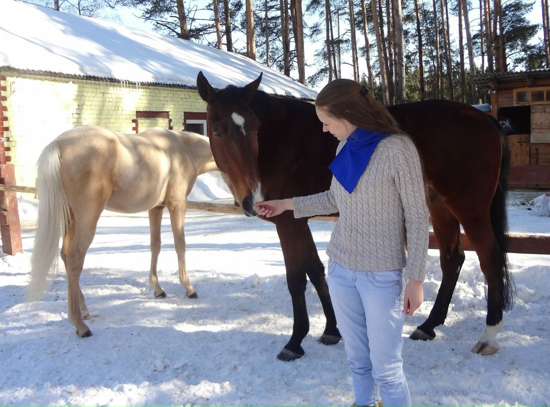 Пони Лёля | Ярославль