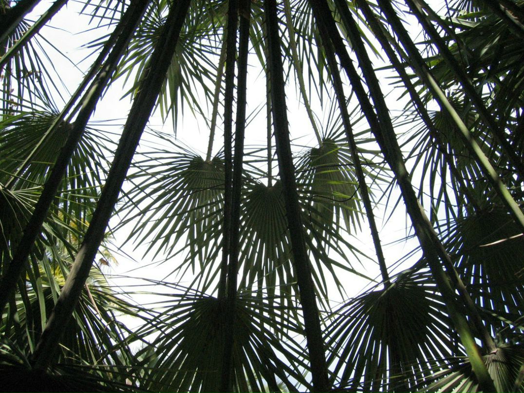 Виталий Кузнецов Xe-Xe | Сочи